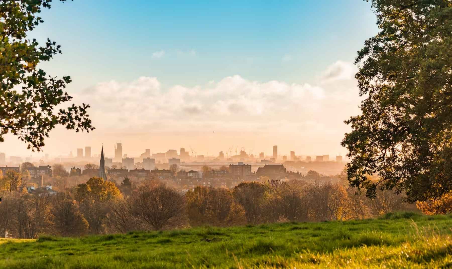 flat in hampstead heath case study