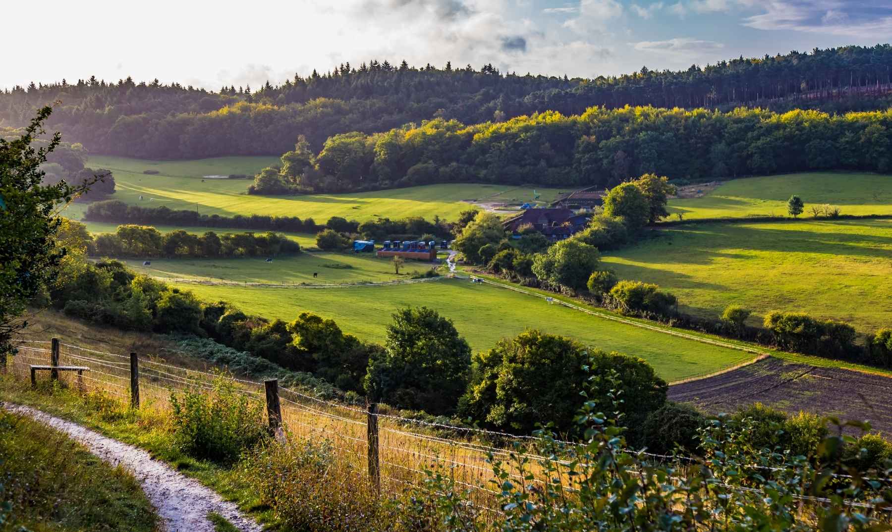 Surrey